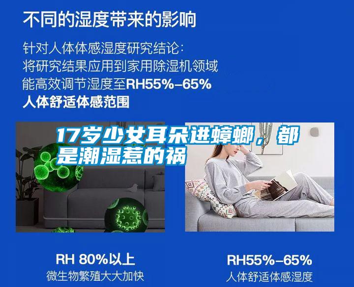 17歲少女耳朵進蟑螂，都是潮濕惹的禍