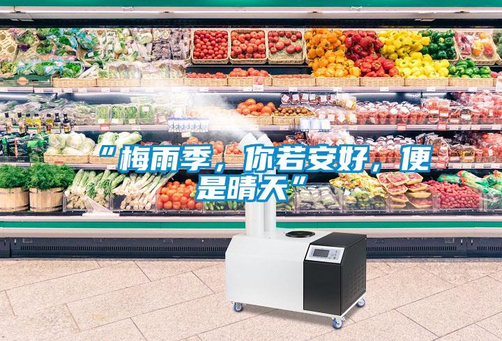 “梅雨季，你若安好，便是晴天”