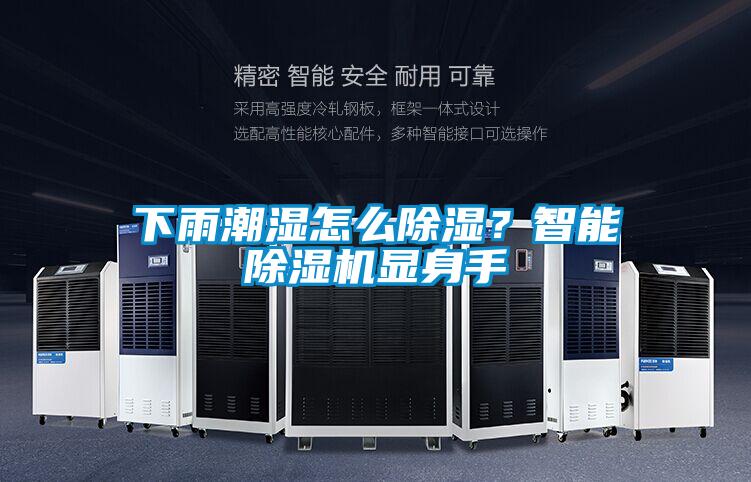 下雨潮濕怎么除濕？智能除濕機(jī)顯身手
