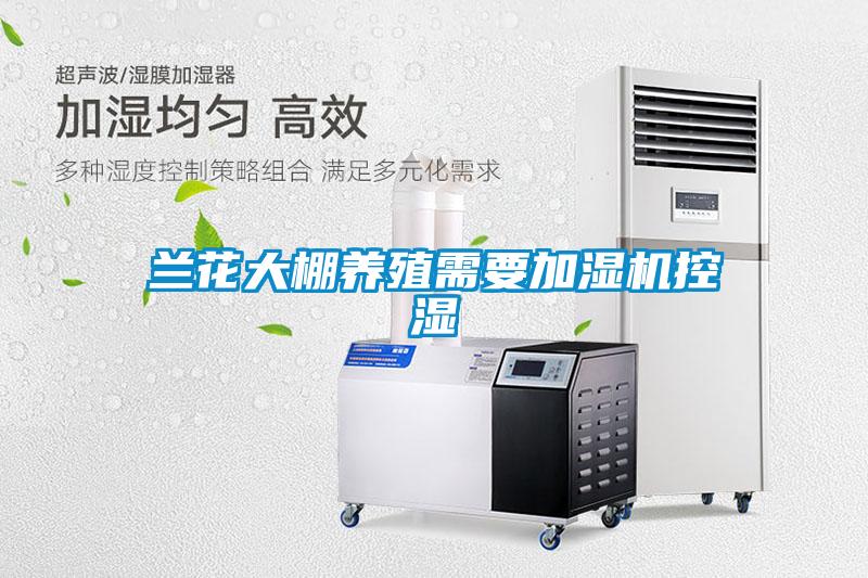 蘭花大棚養(yǎng)殖需要加濕機控濕