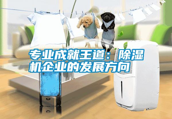 專業(yè)成就王道：除濕機(jī)企業(yè)的發(fā)展方向