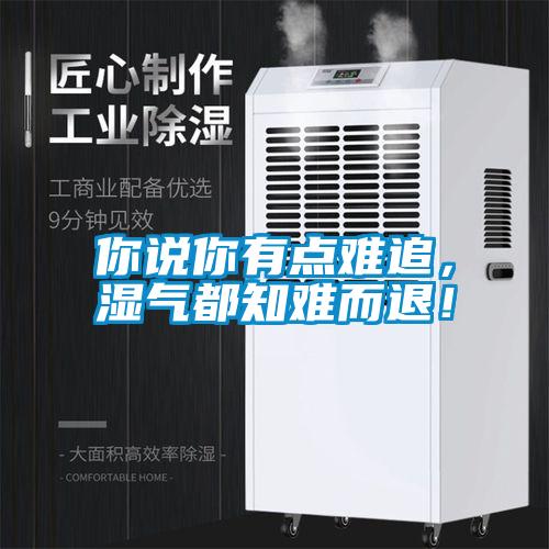你說(shuō)你有點(diǎn)難追，濕氣都知難而退！