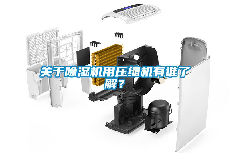 關(guān)于除濕機(jī)用壓縮機(jī)有誰(shuí)了解？