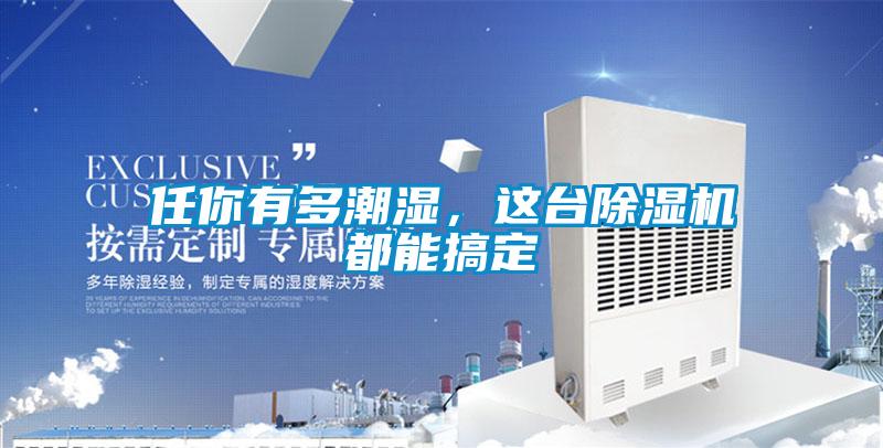任你有多潮濕，這臺除濕機都能搞定