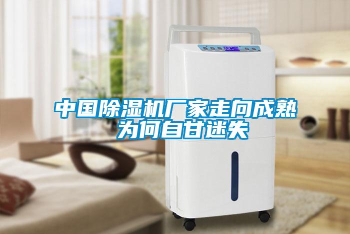 中國(guó)除濕機(jī)廠家走向成熟 為何自甘迷失