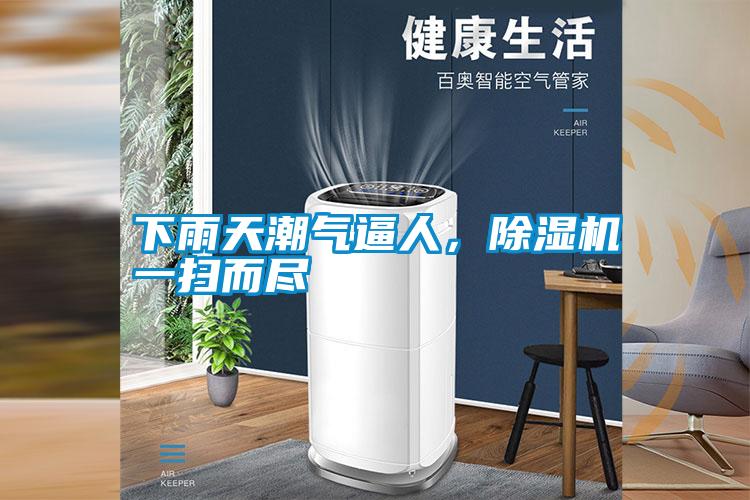 下雨天潮氣逼人，除濕機一掃而盡