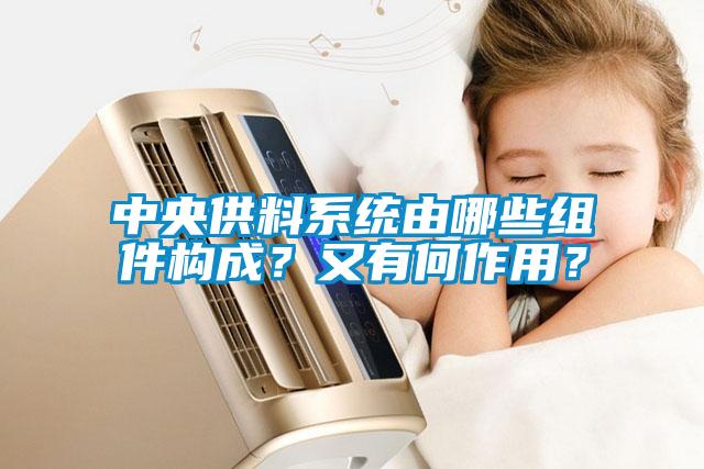 中央供料系統(tǒng)由哪些組件構(gòu)成？又有何作用？