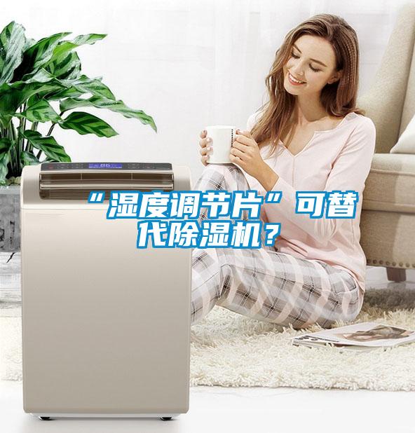 “濕度調(diào)節(jié)片”可替代除濕機？