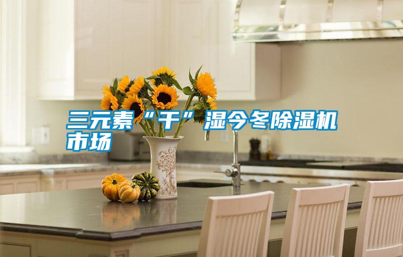 三元素“干”濕今冬除濕機(jī)市場(chǎng)