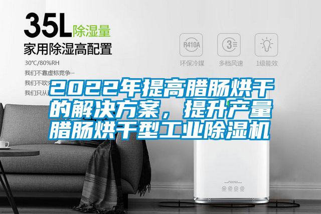 2022年提高臘腸烘干的解決方案，提升產(chǎn)量臘腸烘干型工業(yè)除濕機(jī)