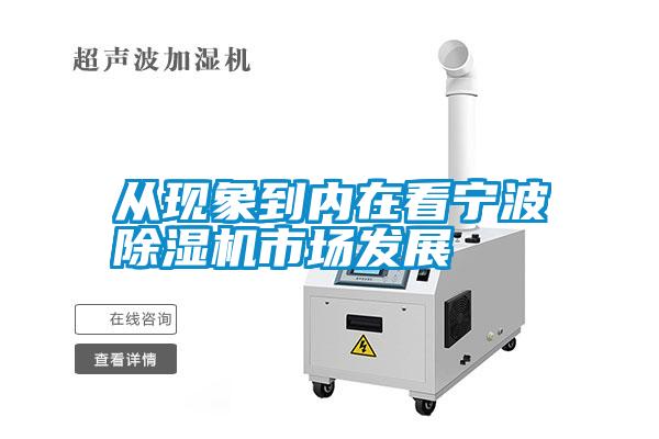 從現(xiàn)象到內(nèi)在看寧波除濕機(jī)市場發(fā)展