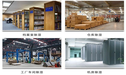 為什么竹筍烘干房需要除濕機(jī)？