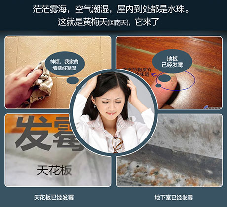 家庭別墅的地下室、衛(wèi)生間、儲物室等該如何除濕？