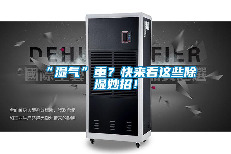 “濕氣”重？快來看這些除濕妙招！