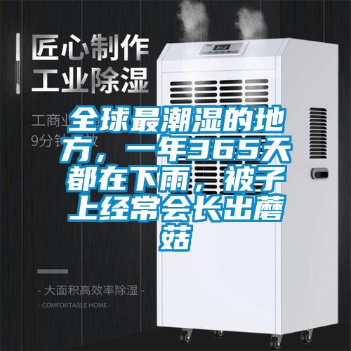 全球最潮濕的地方，一年365天都在下雨，被子上經(jīng)常會(huì)長(zhǎng)出蘑菇