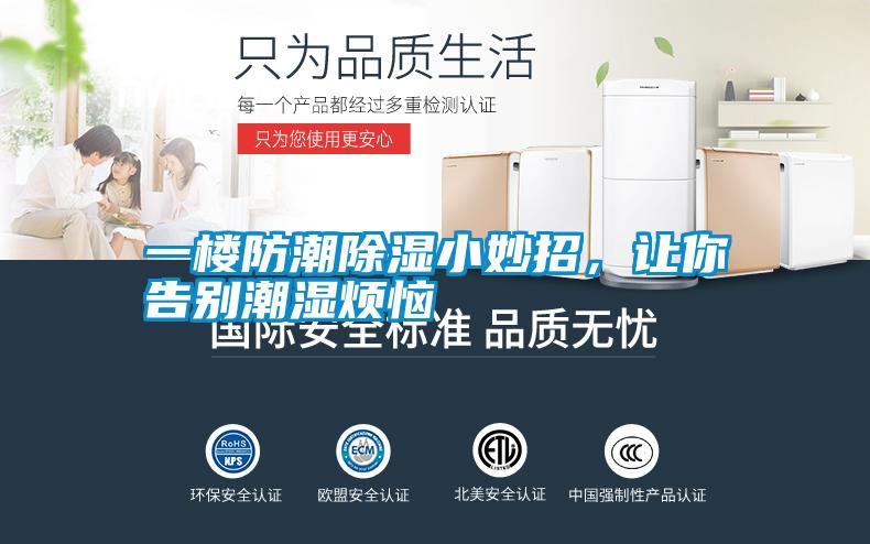 一樓防潮除濕小妙招，讓你告別潮濕煩惱