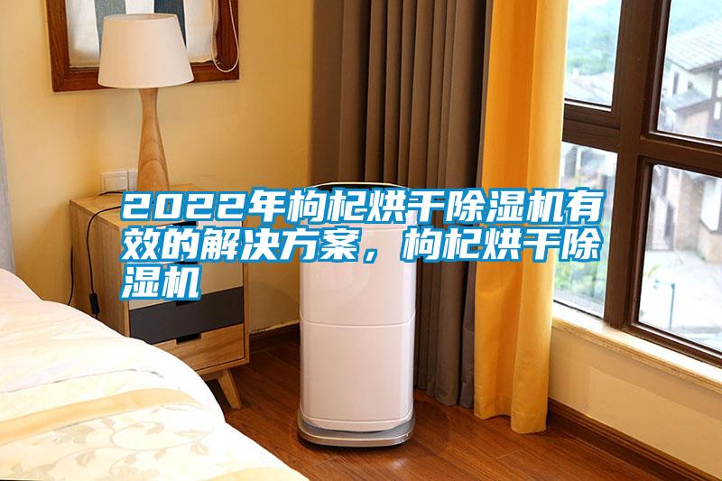 2022年枸杞烘干除濕機有效的解決方案，枸杞烘干除濕機