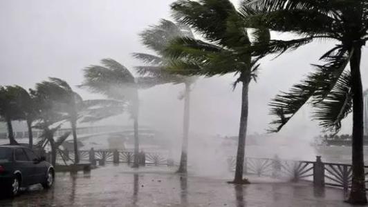 8月臺(tái)風(fēng)雨即將來(lái)，除濕機(jī)還得用起來(lái)