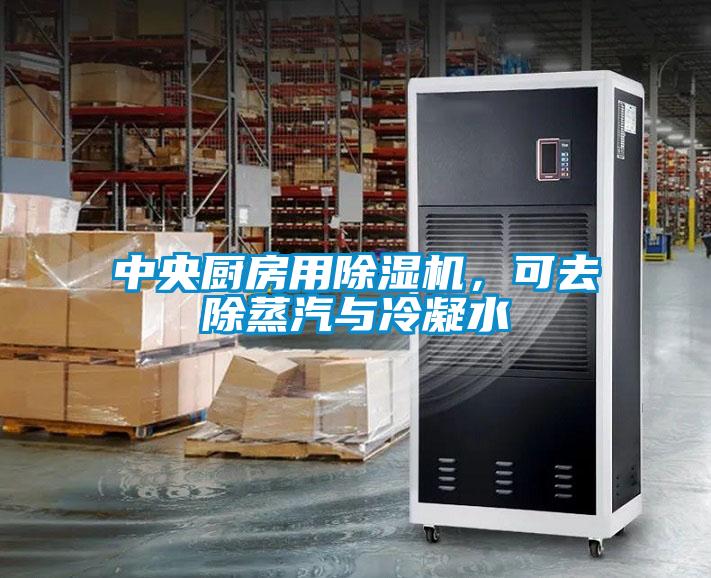 中央廚房用除濕機，可去除蒸汽與冷凝水