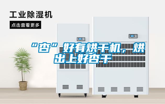 “杏”好有烘干機(jī)，烘出上好杏干