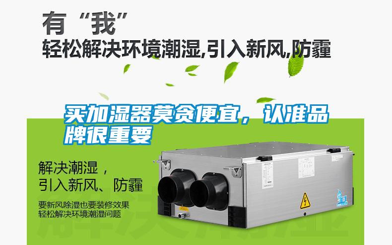 買加濕器莫貪便宜，認準品牌很重要