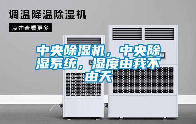 中央除濕機(jī)，中央除濕系統(tǒng)，濕度由我不由天