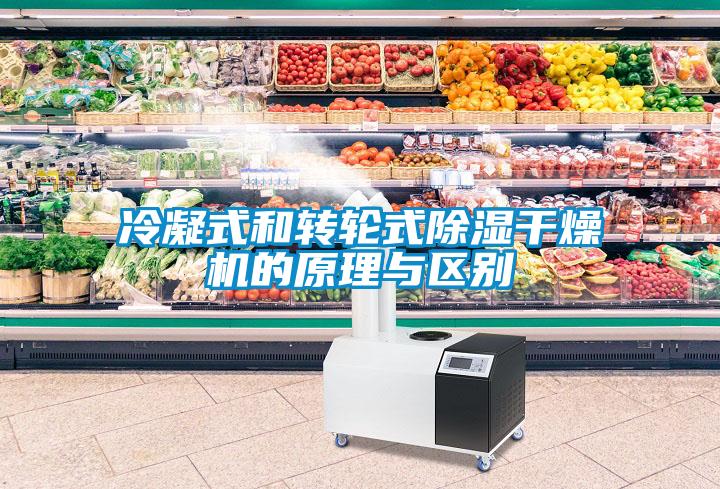 冷凝式和轉輪式除濕干燥機的原理與區(qū)別