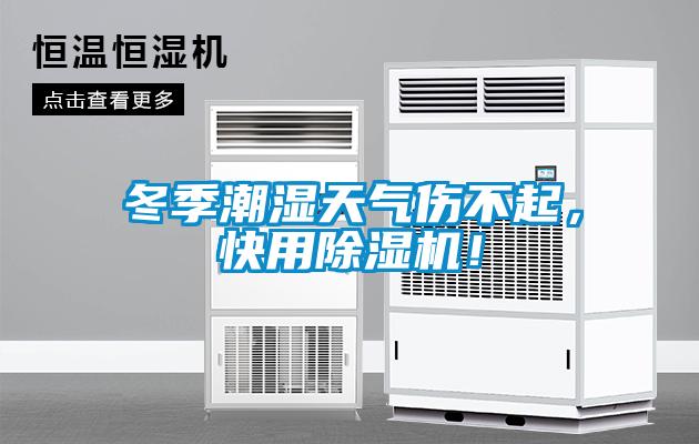 冬季潮濕天氣傷不起，快用除濕機！