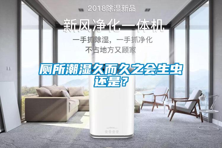 廁所潮濕久而久之會(huì)生蟲還是？