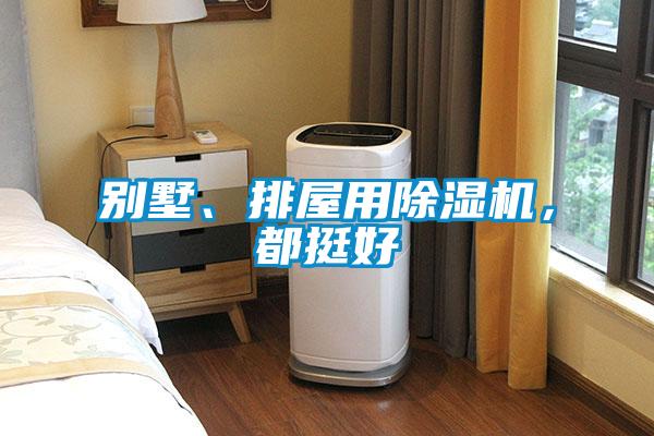 別墅、排屋用除濕機(jī)，都挺好