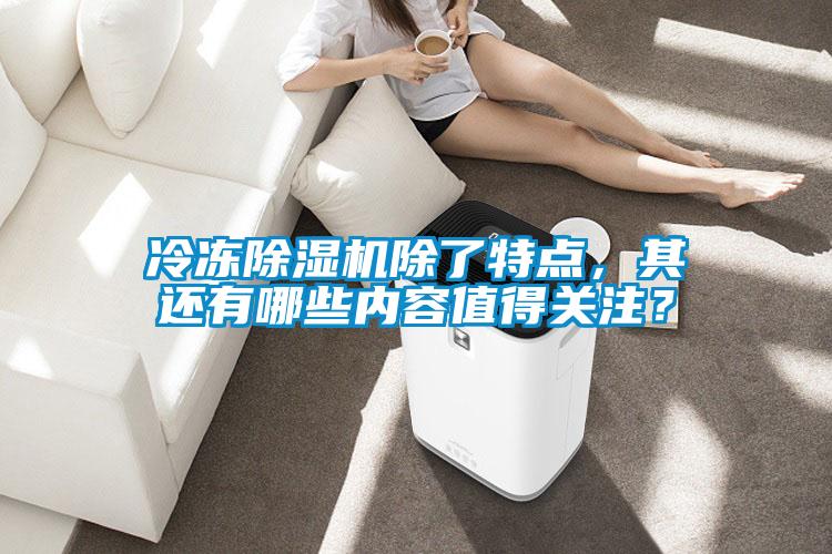 冷凍除濕機(jī)除了特點(diǎn)，其還有哪些內(nèi)容值得關(guān)注？