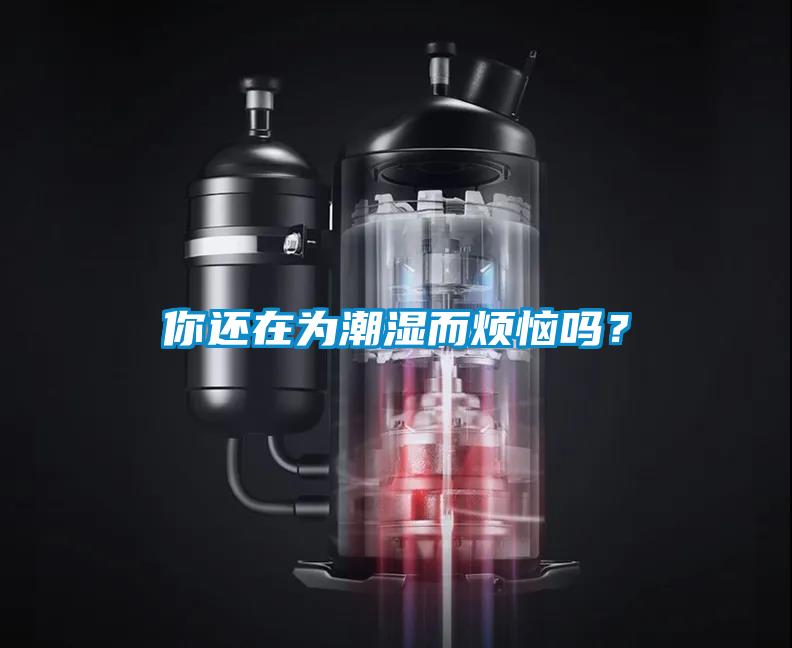 你還在為潮濕而煩惱嗎？
