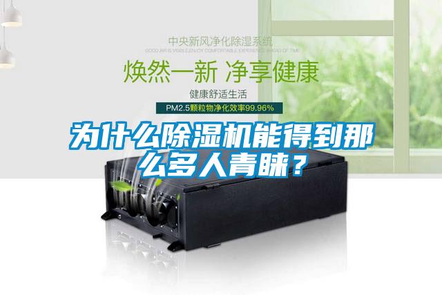 為什么除濕機能得到那么多人青睞？