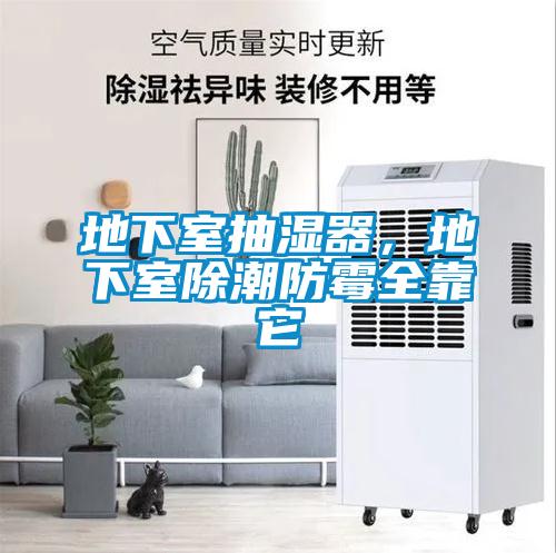地下室抽濕器，地下室除潮防霉全靠它