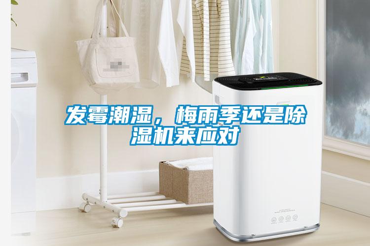 發(fā)霉潮濕，梅雨季還是除濕機(jī)來應(yīng)對