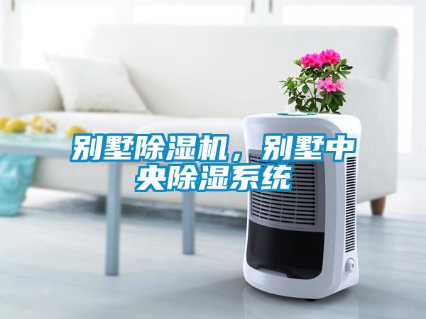 別墅除濕機(jī)，別墅中央除濕系統(tǒng)