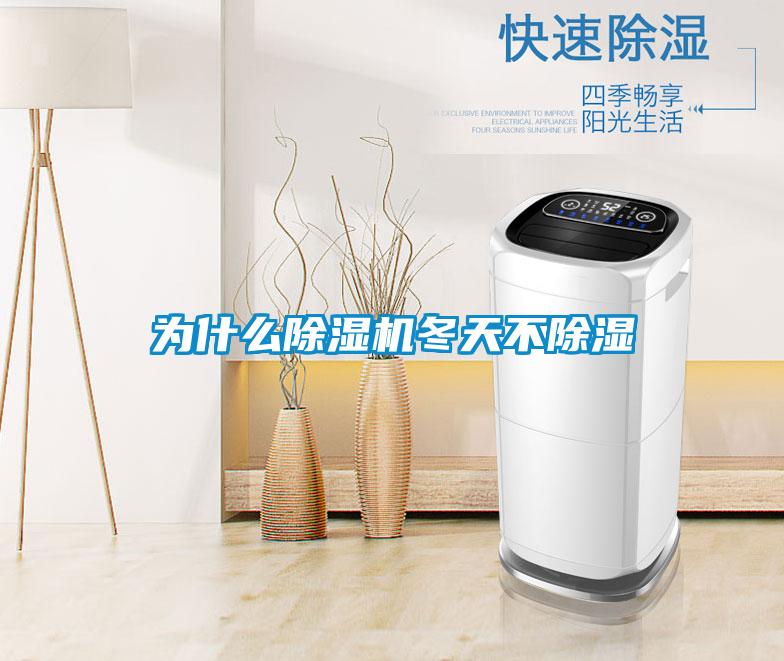為什么除濕機(jī)冬天不除濕