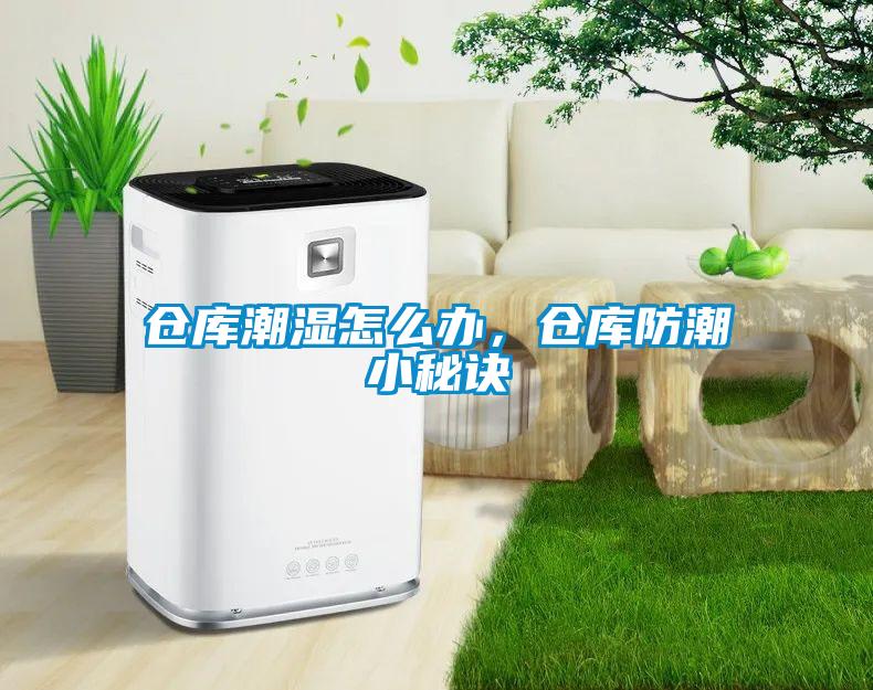 倉庫潮濕怎么辦，倉庫防潮小秘訣