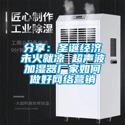 分享：圣誕經(jīng)濟未火就涼 超聲波加濕器廠家如何做好網(wǎng)絡(luò)營銷