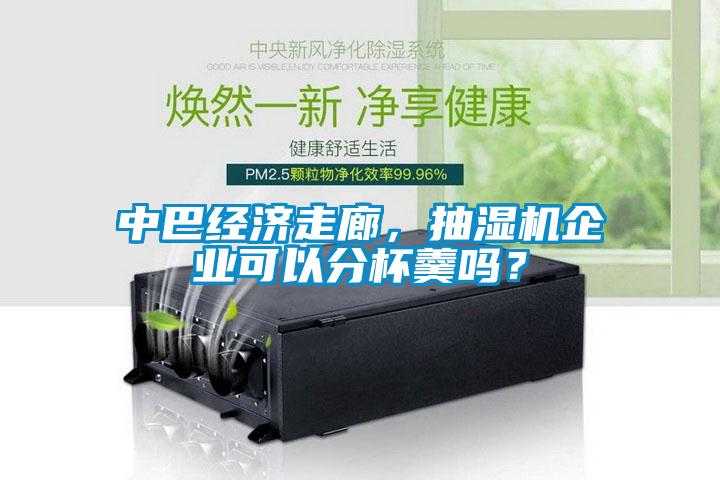 中巴經(jīng)濟走廊，抽濕機企業(yè)可以分杯羹嗎？