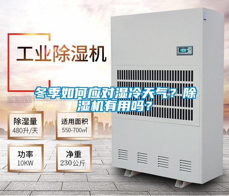 冬季如何應對濕冷天氣？除濕機有用嗎？