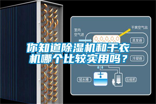 你知道除濕機(jī)和干衣機(jī)哪個(gè)比較實(shí)用嗎？