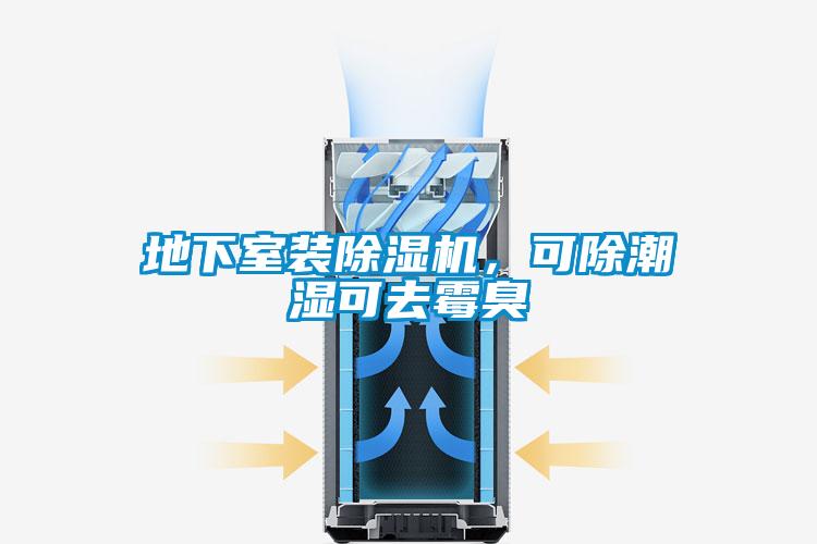 地下室裝除濕機(jī)，可除潮濕可去霉臭