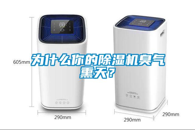為什么你的除濕機(jī)臭氣熏天？