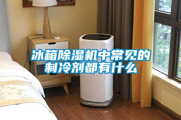 冰箱除濕機(jī)中常見(jiàn)的制冷劑都有什么