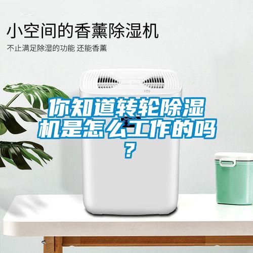 你知道轉(zhuǎn)輪除濕機(jī)是怎么工作的嗎？