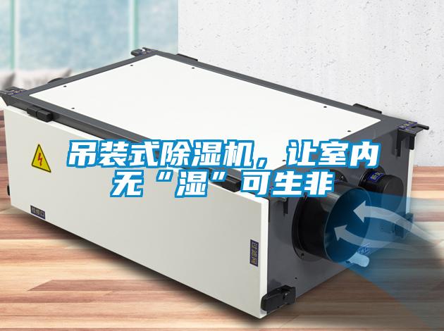 吊裝式除濕機(jī)，讓室內(nèi)無“濕”可生非