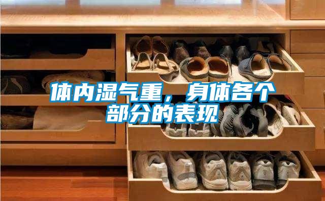 體內(nèi)濕氣重，身體各個(gè)部分的表現(xiàn)