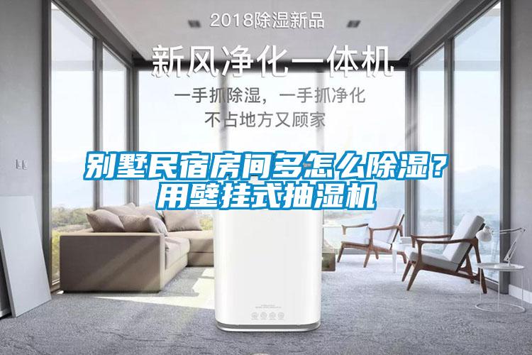 別墅民宿房間多怎么除濕？用壁掛式抽濕機(jī)