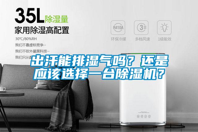出汗能排濕氣嗎？還是應(yīng)該選擇一臺除濕機(jī)？